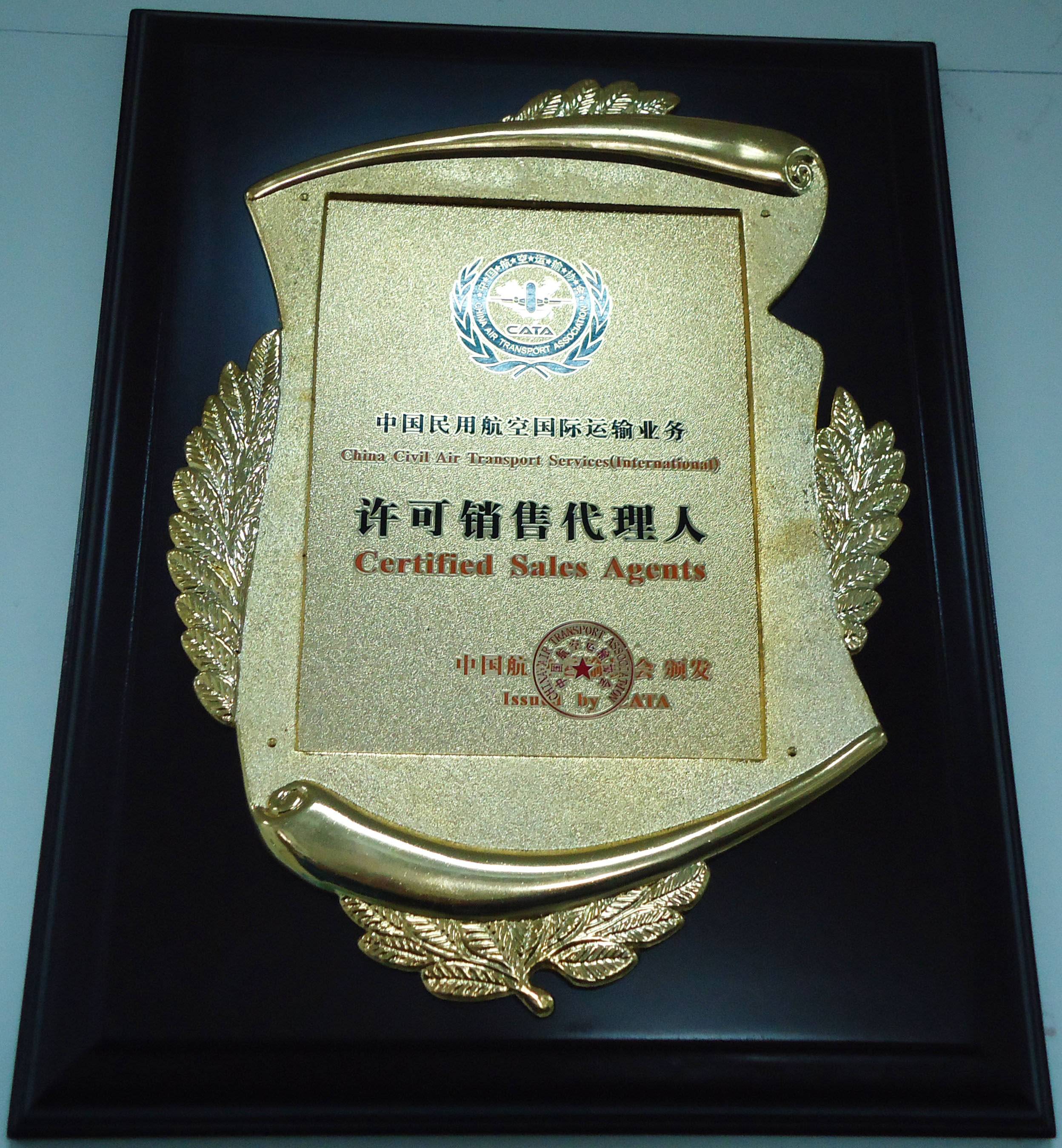 中国民用航空国际运输业务---许可销售代理人 中国民用航空国际运输业务---许可销售代理人